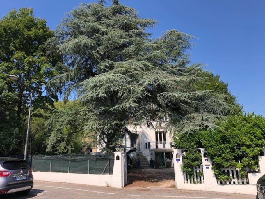 Villa Les Terrasses Dans La Nature Avec Piscine A 2 Pas De Lyon, Metro A 15Mn A Pied Pour Lyon Centre En 10Mn Ou Bus A 300M Pour Lyon Centre 隆河省 外观 照片